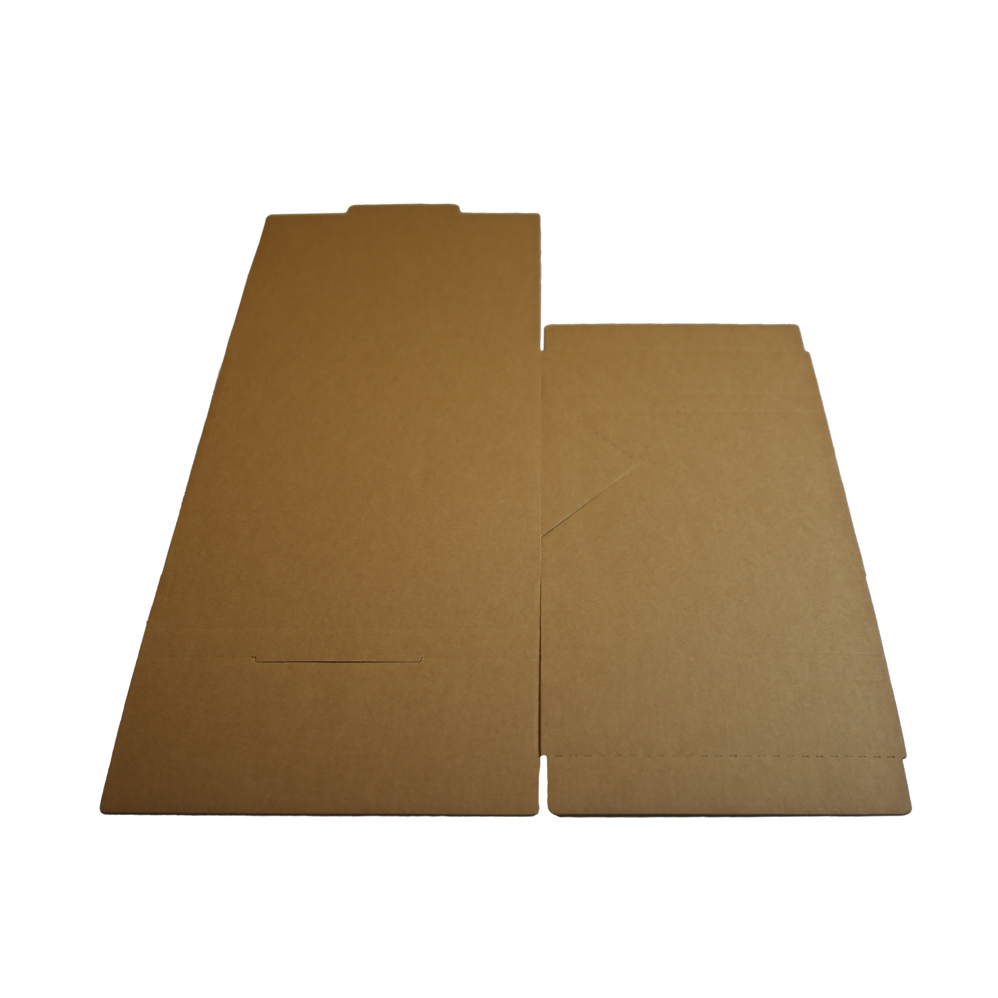 Vinyl Record Mailer (12" LP)