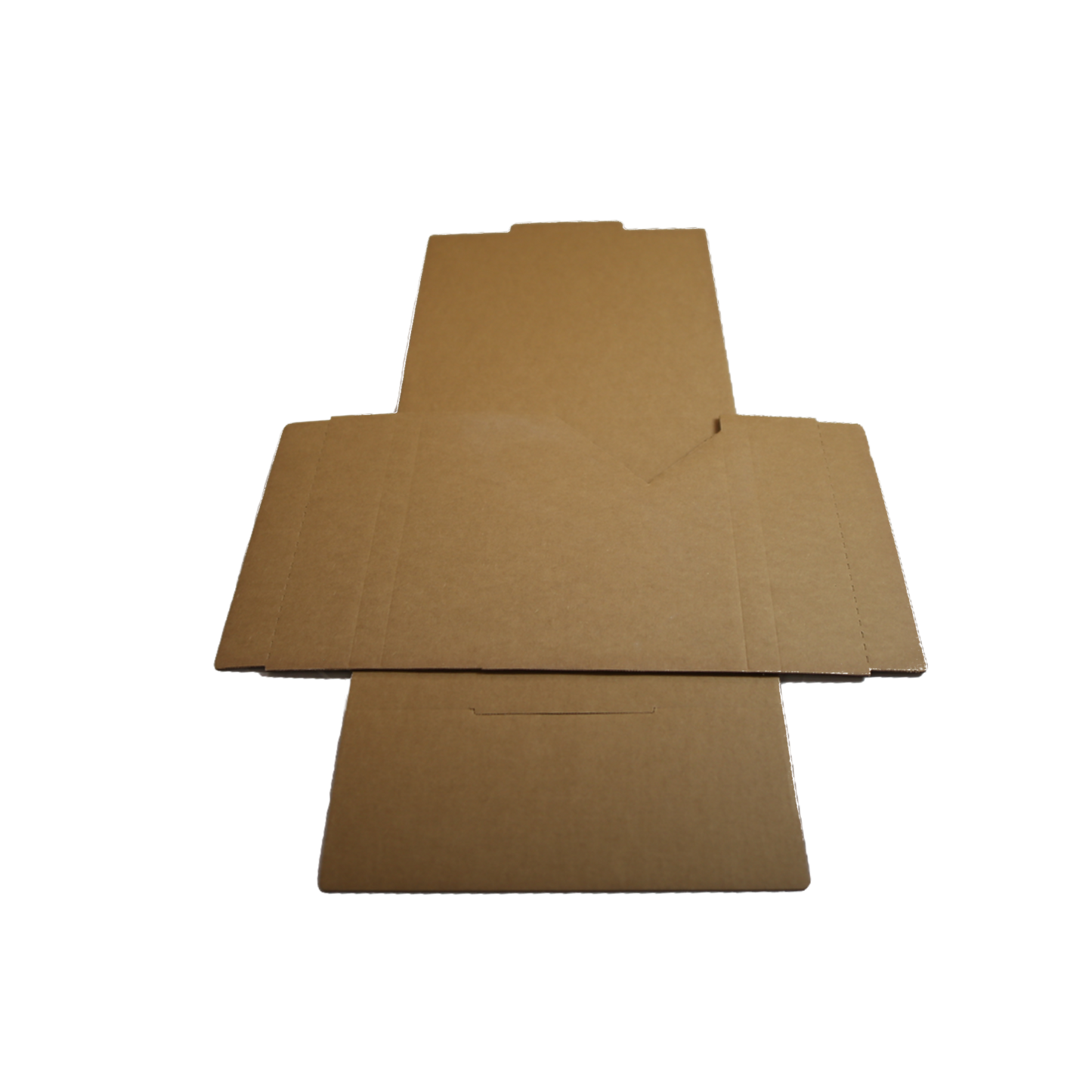 Vinyl Record Mailer (12" LP)